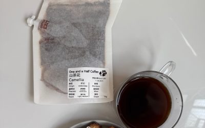 冷萃咖啡怎麼做？懶人也能享受 Cold Brew 的甘甜