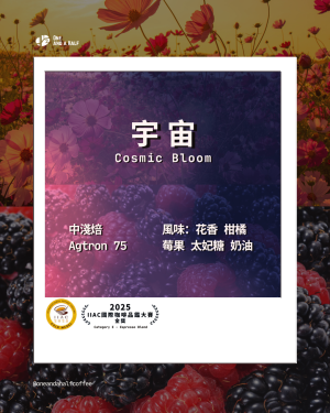 【榮獲IIAC金獎】宇宙冷萃咖啡（5包）